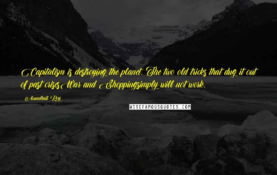 Arundhati Roy Quotes: Capitalism is destroying the planet. The two old tricks that dug it out of past crisesWar and Shoppingsimply will not work.