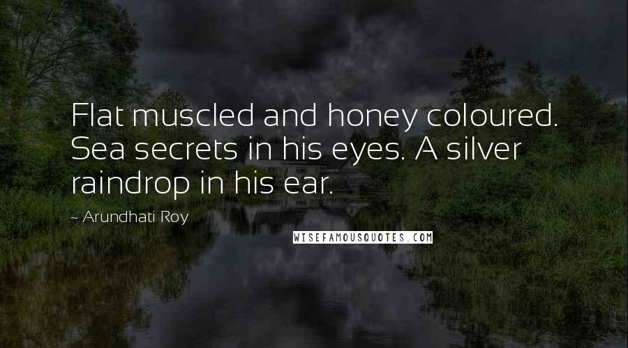 Arundhati Roy Quotes: Flat muscled and honey coloured. Sea secrets in his eyes. A silver raindrop in his ear.