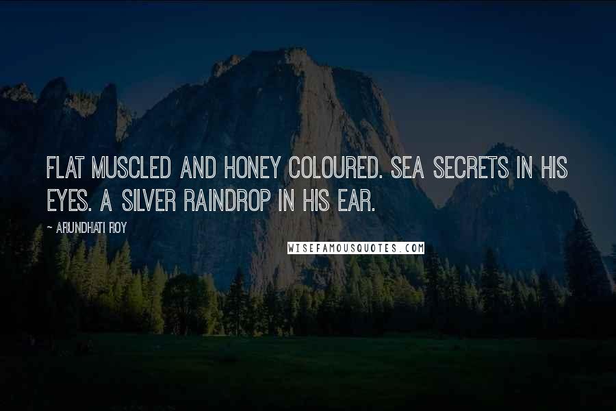 Arundhati Roy Quotes: Flat muscled and honey coloured. Sea secrets in his eyes. A silver raindrop in his ear.