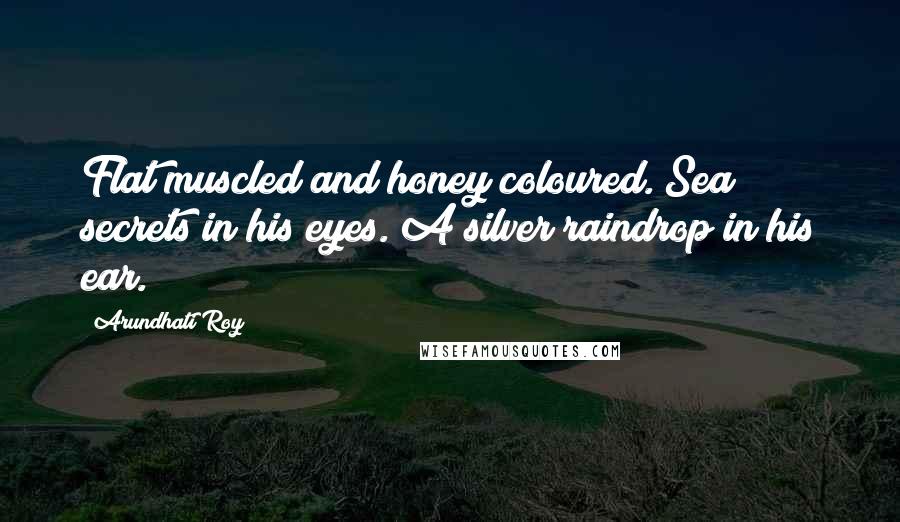 Arundhati Roy Quotes: Flat muscled and honey coloured. Sea secrets in his eyes. A silver raindrop in his ear.