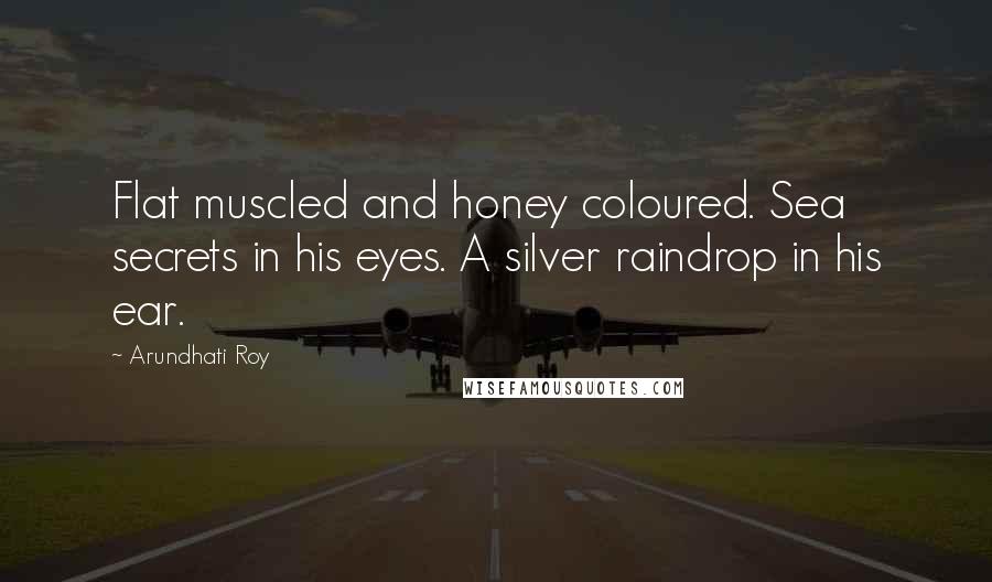 Arundhati Roy Quotes: Flat muscled and honey coloured. Sea secrets in his eyes. A silver raindrop in his ear.