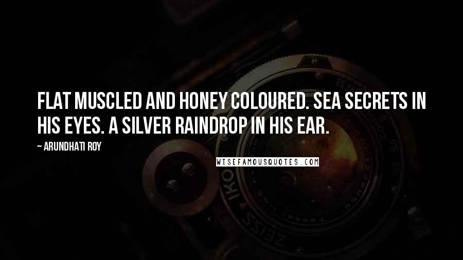 Arundhati Roy Quotes: Flat muscled and honey coloured. Sea secrets in his eyes. A silver raindrop in his ear.