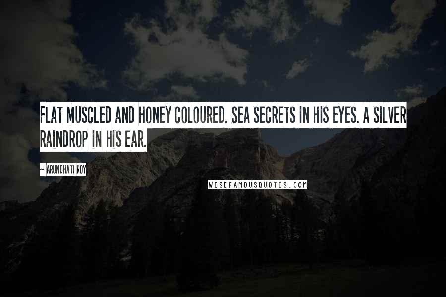 Arundhati Roy Quotes: Flat muscled and honey coloured. Sea secrets in his eyes. A silver raindrop in his ear.