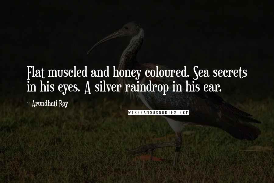 Arundhati Roy Quotes: Flat muscled and honey coloured. Sea secrets in his eyes. A silver raindrop in his ear.