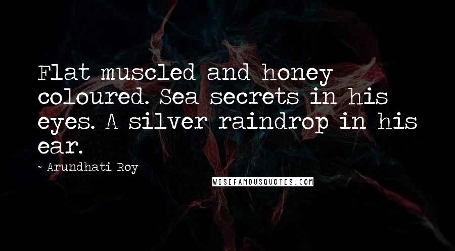 Arundhati Roy Quotes: Flat muscled and honey coloured. Sea secrets in his eyes. A silver raindrop in his ear.