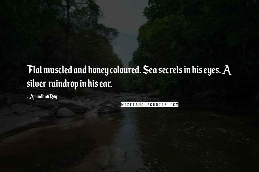 Arundhati Roy Quotes: Flat muscled and honey coloured. Sea secrets in his eyes. A silver raindrop in his ear.