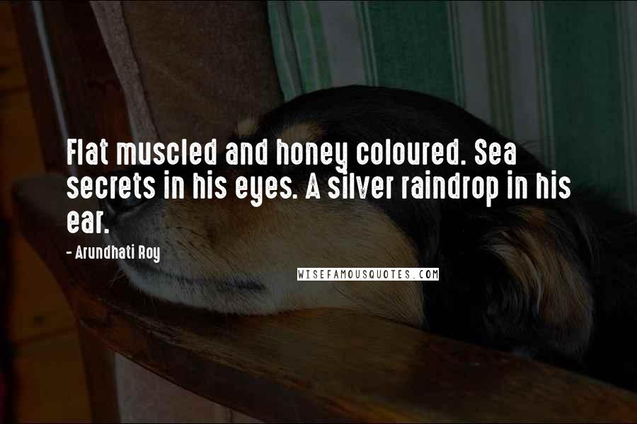 Arundhati Roy Quotes: Flat muscled and honey coloured. Sea secrets in his eyes. A silver raindrop in his ear.