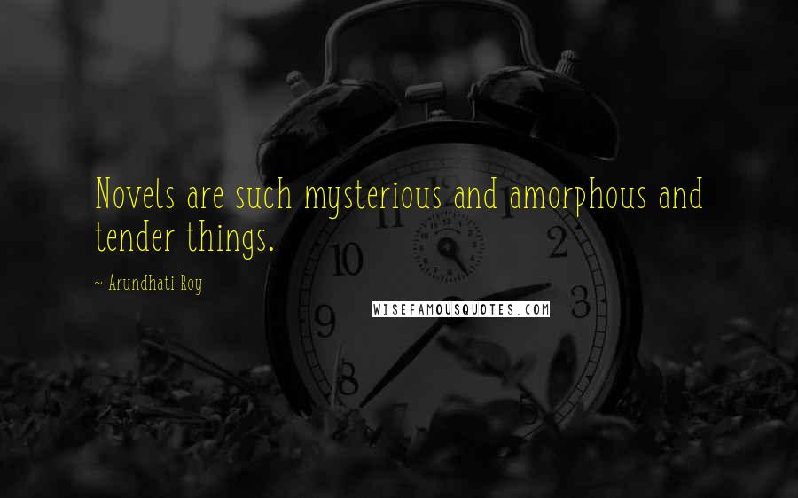 Arundhati Roy Quotes: Novels are such mysterious and amorphous and tender things.