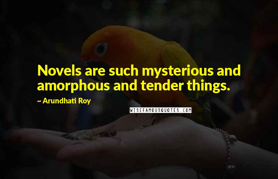 Arundhati Roy Quotes: Novels are such mysterious and amorphous and tender things.