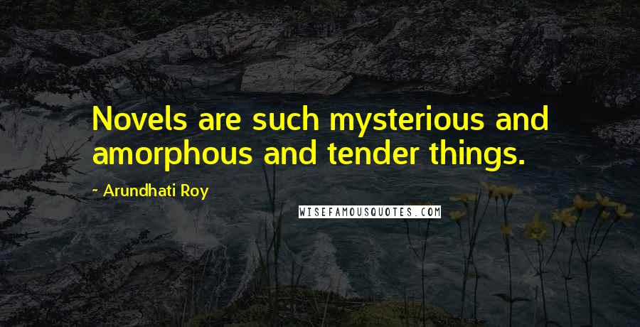 Arundhati Roy Quotes: Novels are such mysterious and amorphous and tender things.