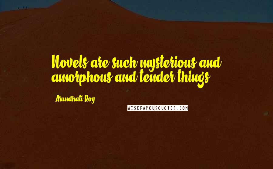 Arundhati Roy Quotes: Novels are such mysterious and amorphous and tender things.