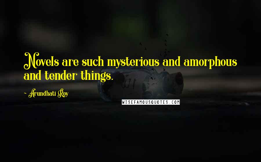 Arundhati Roy Quotes: Novels are such mysterious and amorphous and tender things.