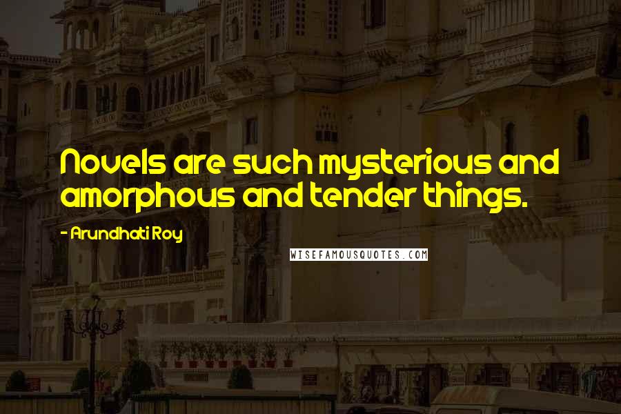 Arundhati Roy Quotes: Novels are such mysterious and amorphous and tender things.