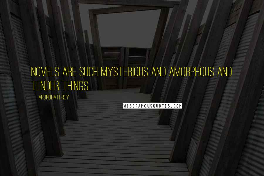 Arundhati Roy Quotes: Novels are such mysterious and amorphous and tender things.