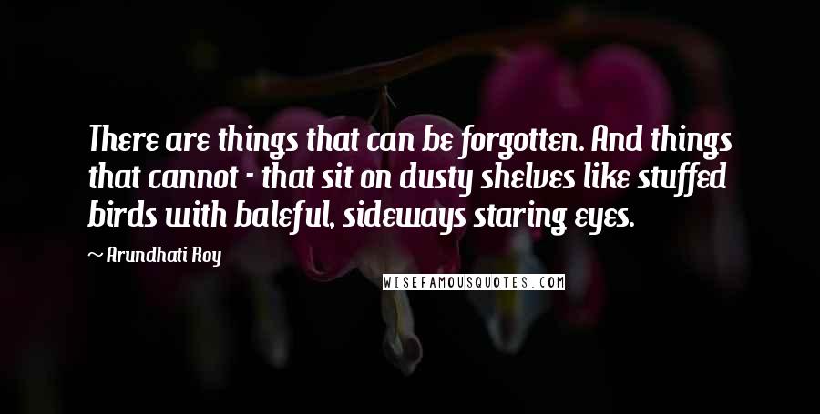 Arundhati Roy Quotes: There are things that can be forgotten. And things that cannot - that sit on dusty shelves like stuffed birds with baleful, sideways staring eyes.