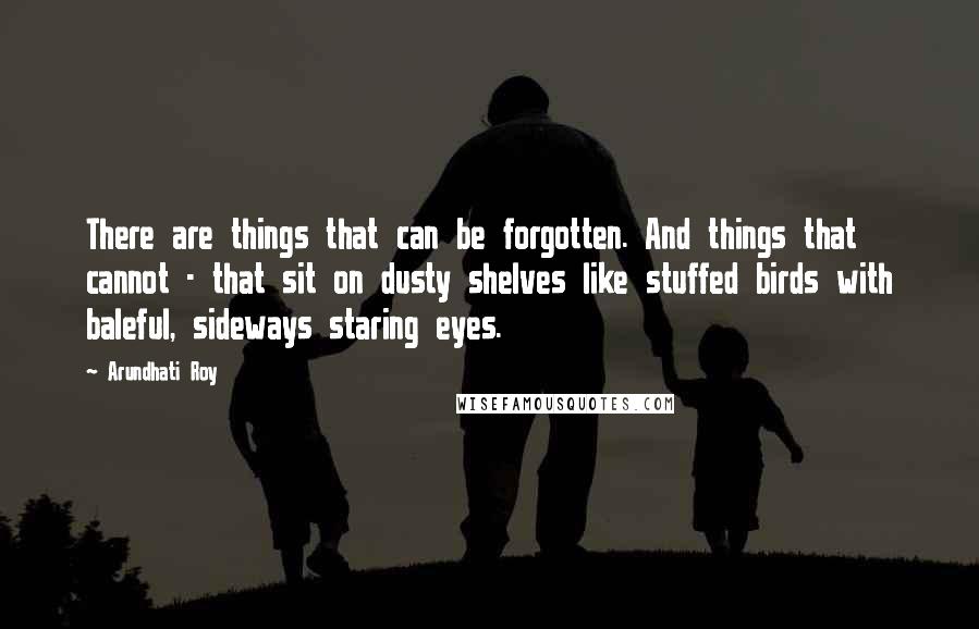 Arundhati Roy Quotes: There are things that can be forgotten. And things that cannot - that sit on dusty shelves like stuffed birds with baleful, sideways staring eyes.