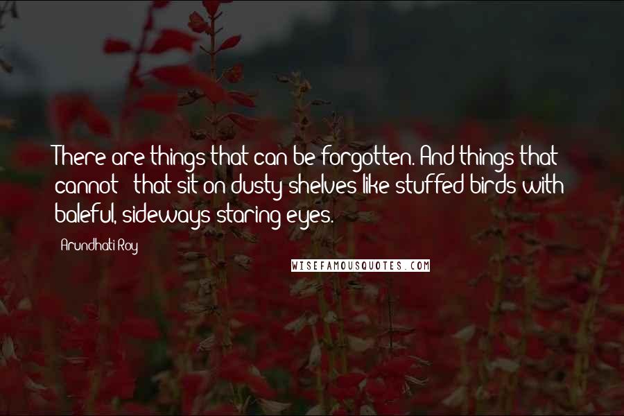 Arundhati Roy Quotes: There are things that can be forgotten. And things that cannot - that sit on dusty shelves like stuffed birds with baleful, sideways staring eyes.