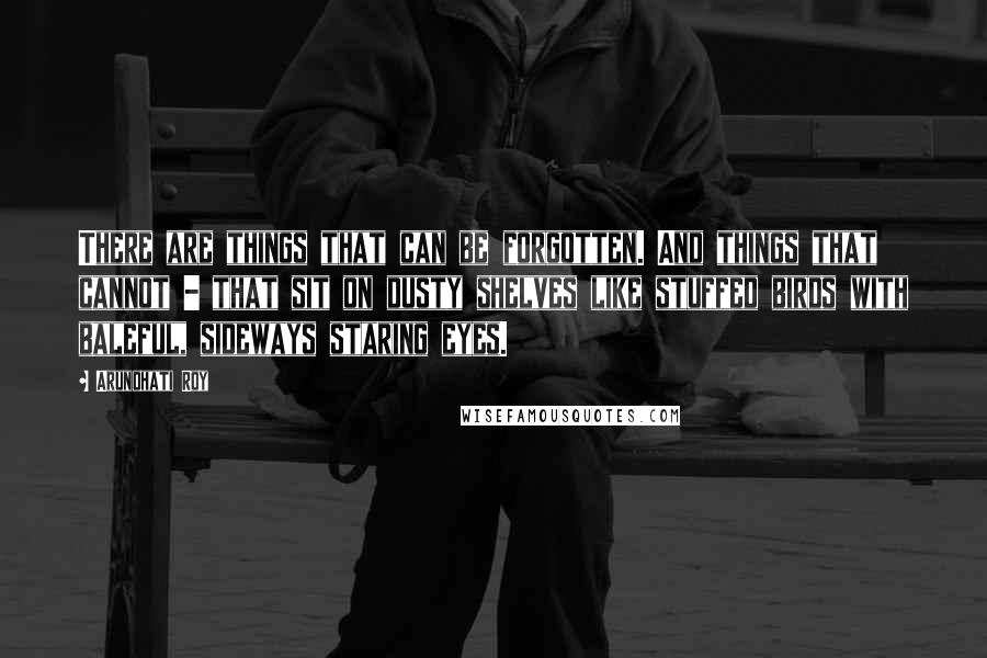 Arundhati Roy Quotes: There are things that can be forgotten. And things that cannot - that sit on dusty shelves like stuffed birds with baleful, sideways staring eyes.