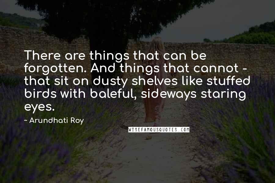 Arundhati Roy Quotes: There are things that can be forgotten. And things that cannot - that sit on dusty shelves like stuffed birds with baleful, sideways staring eyes.