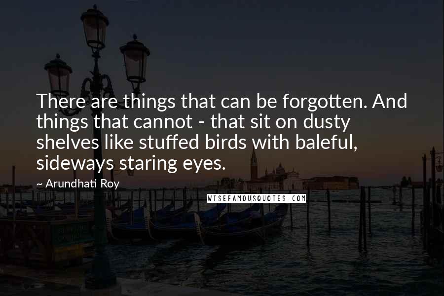 Arundhati Roy Quotes: There are things that can be forgotten. And things that cannot - that sit on dusty shelves like stuffed birds with baleful, sideways staring eyes.