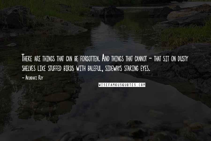 Arundhati Roy Quotes: There are things that can be forgotten. And things that cannot - that sit on dusty shelves like stuffed birds with baleful, sideways staring eyes.