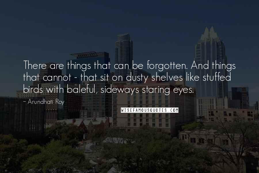 Arundhati Roy Quotes: There are things that can be forgotten. And things that cannot - that sit on dusty shelves like stuffed birds with baleful, sideways staring eyes.