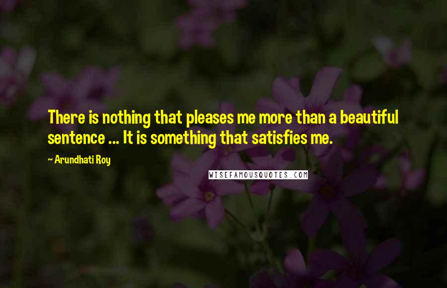 Arundhati Roy Quotes: There is nothing that pleases me more than a beautiful sentence ... It is something that satisfies me.