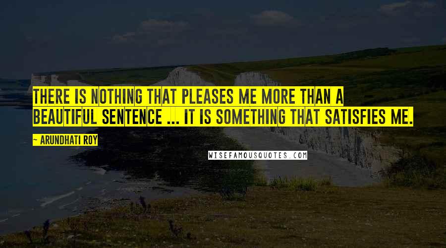 Arundhati Roy Quotes: There is nothing that pleases me more than a beautiful sentence ... It is something that satisfies me.