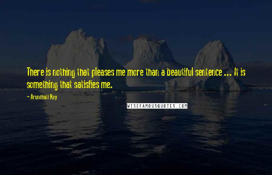 Arundhati Roy Quotes: There is nothing that pleases me more than a beautiful sentence ... It is something that satisfies me.