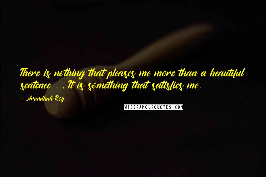 Arundhati Roy Quotes: There is nothing that pleases me more than a beautiful sentence ... It is something that satisfies me.