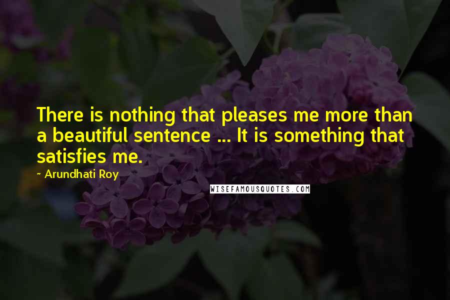 Arundhati Roy Quotes: There is nothing that pleases me more than a beautiful sentence ... It is something that satisfies me.