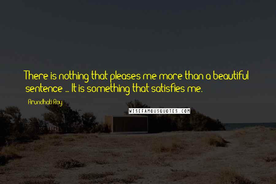 Arundhati Roy Quotes: There is nothing that pleases me more than a beautiful sentence ... It is something that satisfies me.