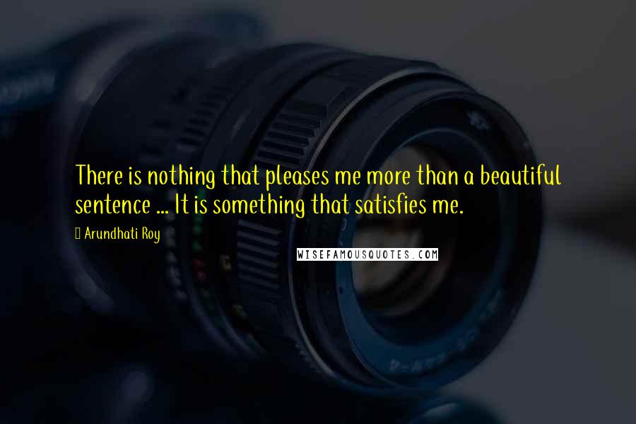 Arundhati Roy Quotes: There is nothing that pleases me more than a beautiful sentence ... It is something that satisfies me.