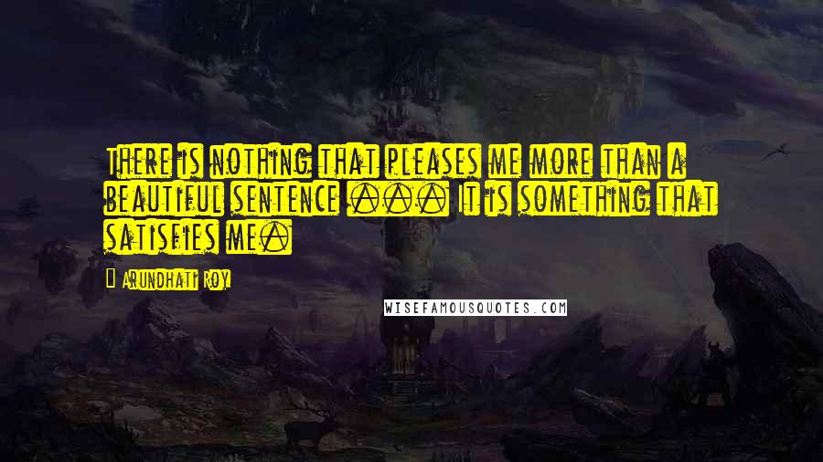 Arundhati Roy Quotes: There is nothing that pleases me more than a beautiful sentence ... It is something that satisfies me.