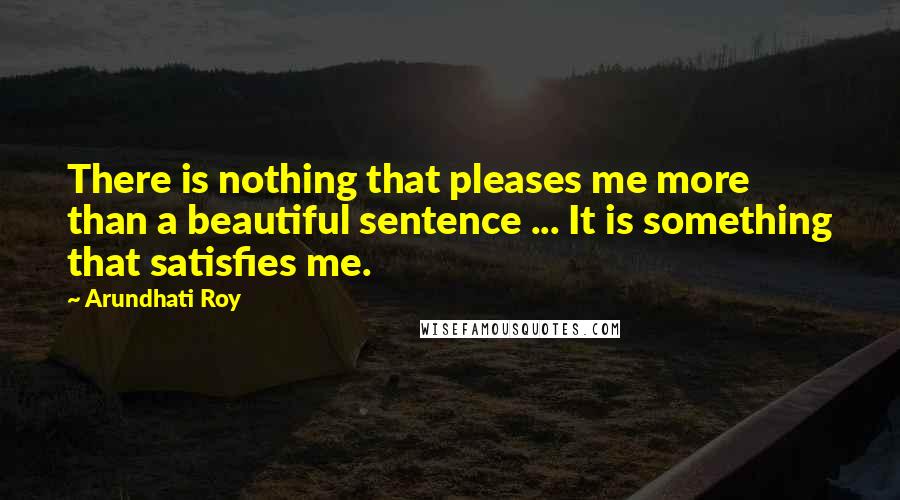 Arundhati Roy Quotes: There is nothing that pleases me more than a beautiful sentence ... It is something that satisfies me.