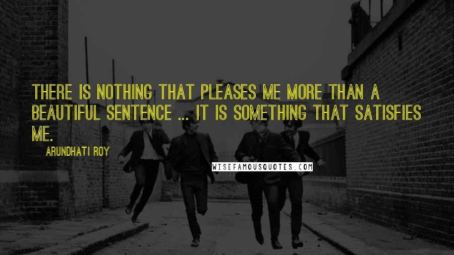 Arundhati Roy Quotes: There is nothing that pleases me more than a beautiful sentence ... It is something that satisfies me.