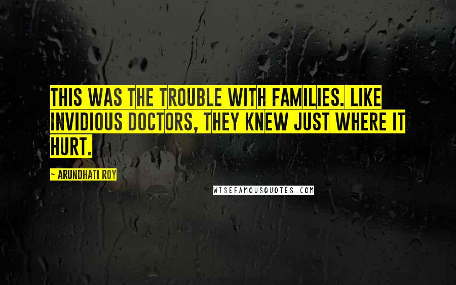 Arundhati Roy Quotes: This was the trouble with families. Like invidious doctors, they knew just where it hurt.