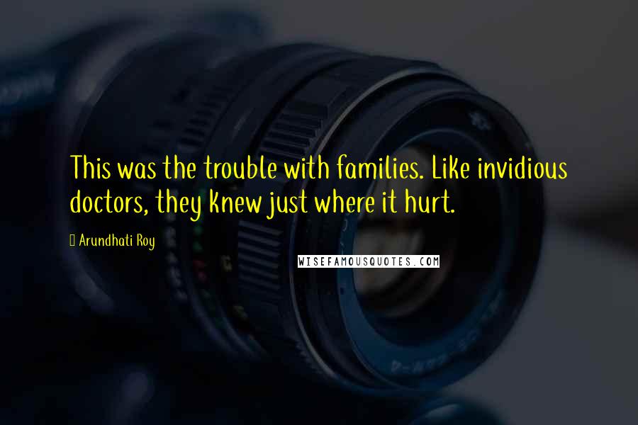 Arundhati Roy Quotes: This was the trouble with families. Like invidious doctors, they knew just where it hurt.