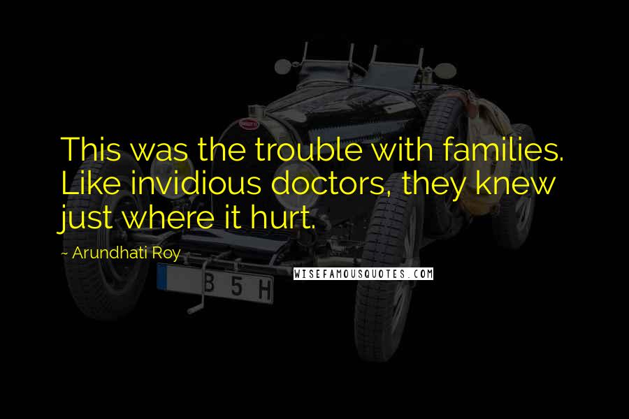 Arundhati Roy Quotes: This was the trouble with families. Like invidious doctors, they knew just where it hurt.