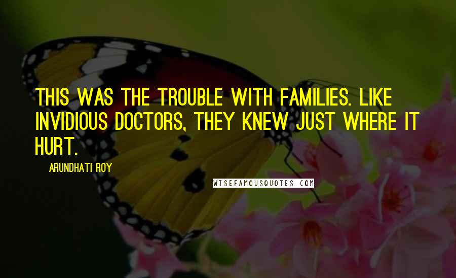 Arundhati Roy Quotes: This was the trouble with families. Like invidious doctors, they knew just where it hurt.