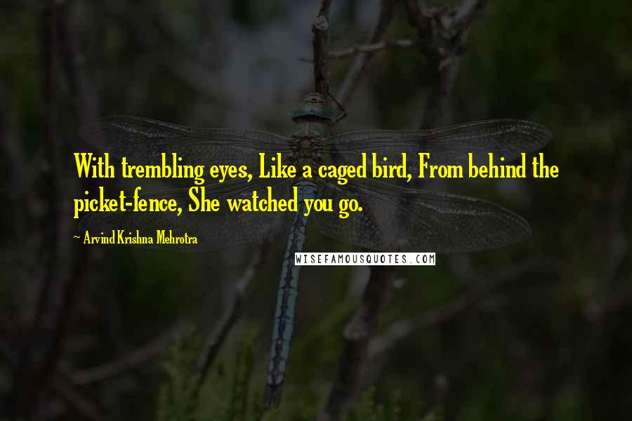 Arvind Krishna Mehrotra Quotes: With trembling eyes, Like a caged bird, From behind the picket-fence, She watched you go.