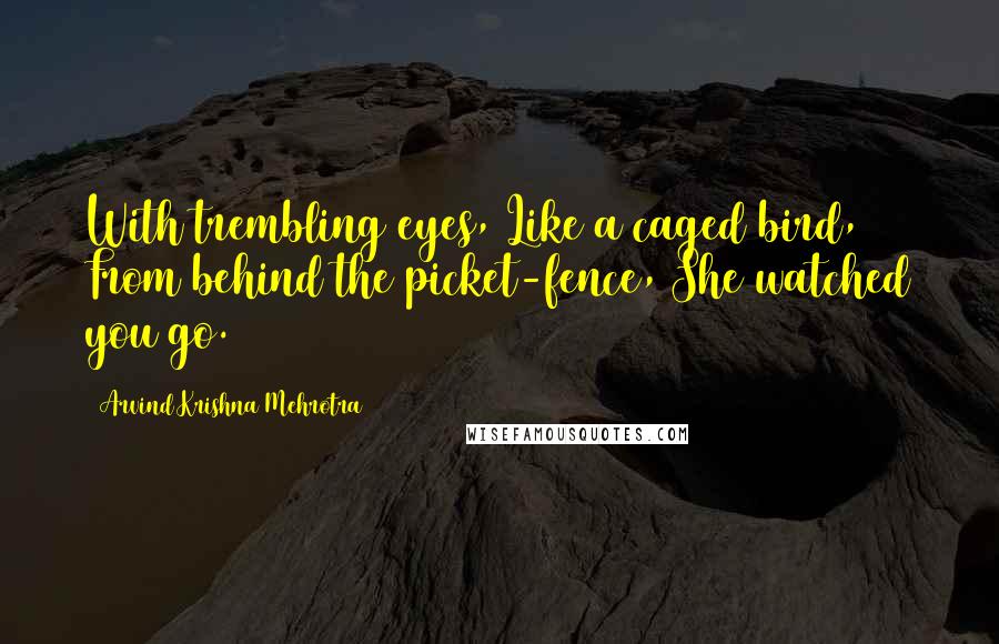 Arvind Krishna Mehrotra Quotes: With trembling eyes, Like a caged bird, From behind the picket-fence, She watched you go.