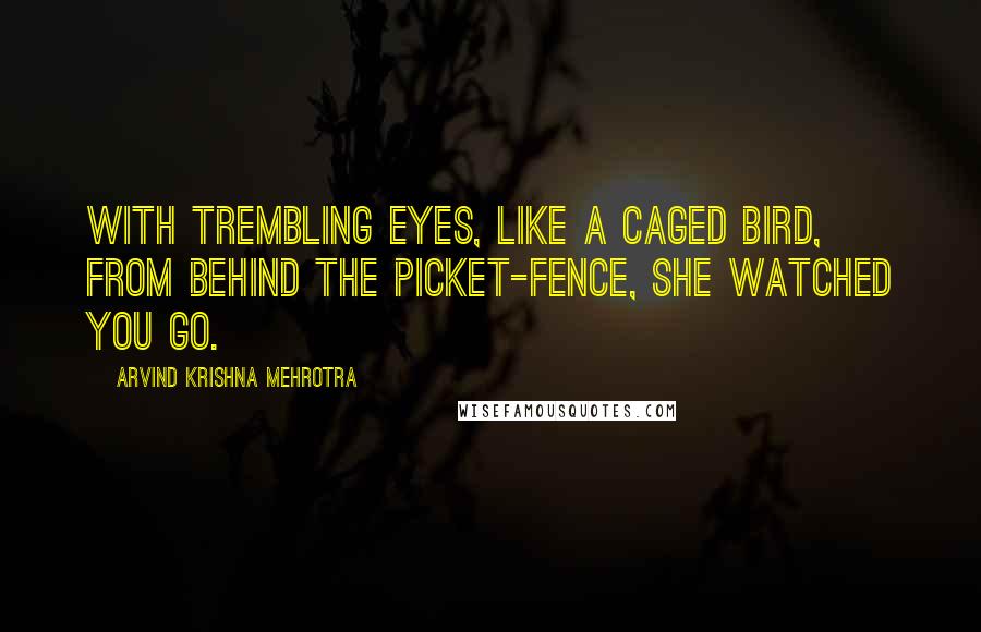 Arvind Krishna Mehrotra Quotes: With trembling eyes, Like a caged bird, From behind the picket-fence, She watched you go.