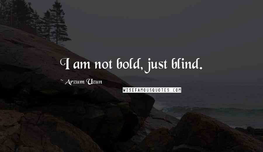 Arzum Uzun Quotes: I am not bold, just blind.