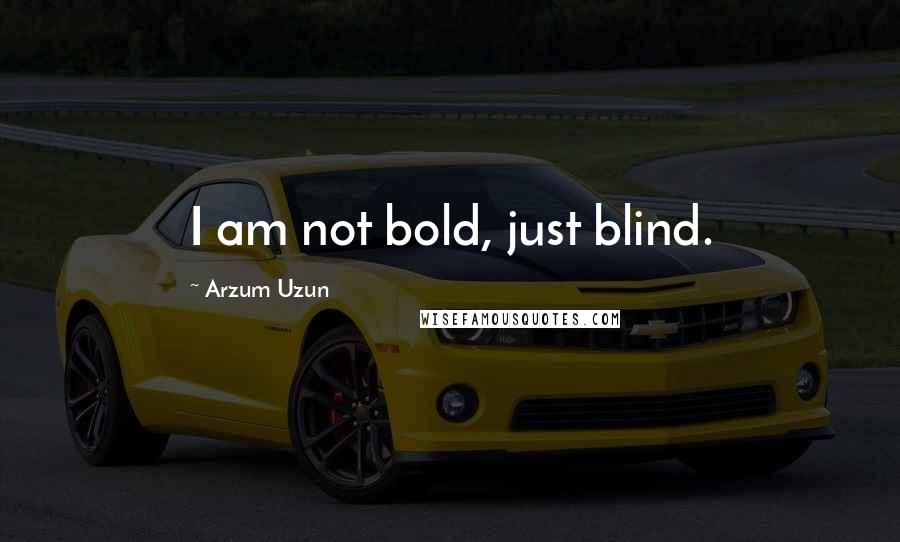 Arzum Uzun Quotes: I am not bold, just blind.