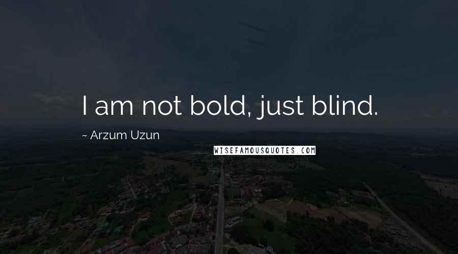 Arzum Uzun Quotes: I am not bold, just blind.