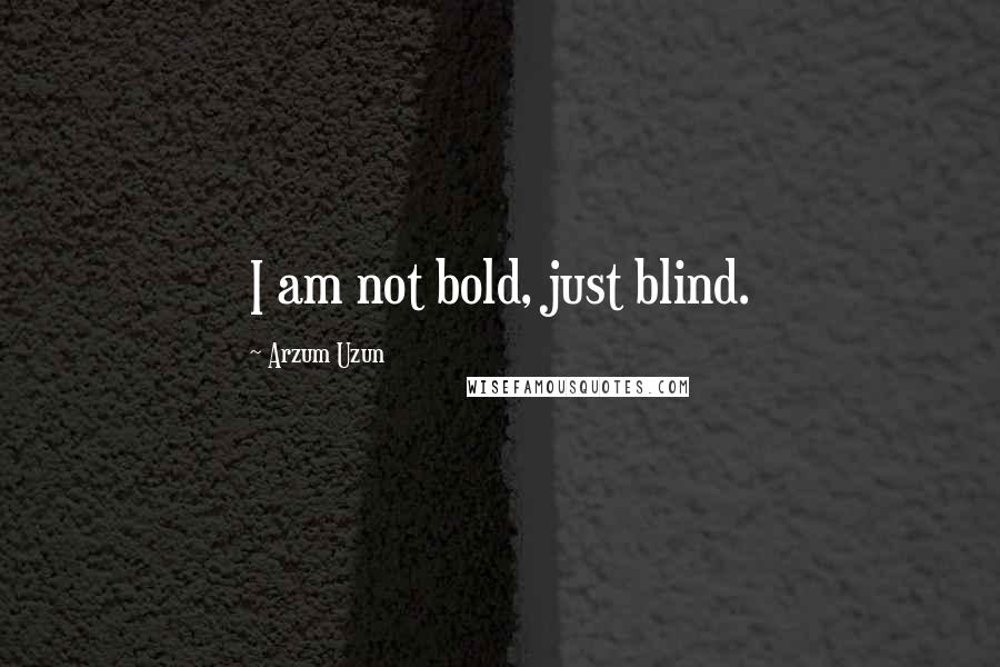 Arzum Uzun Quotes: I am not bold, just blind.