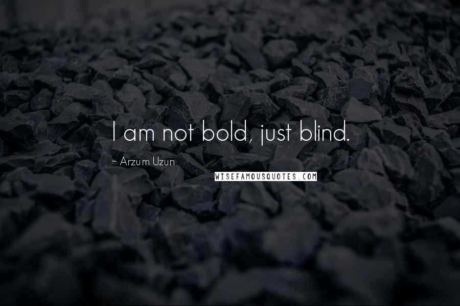 Arzum Uzun Quotes: I am not bold, just blind.