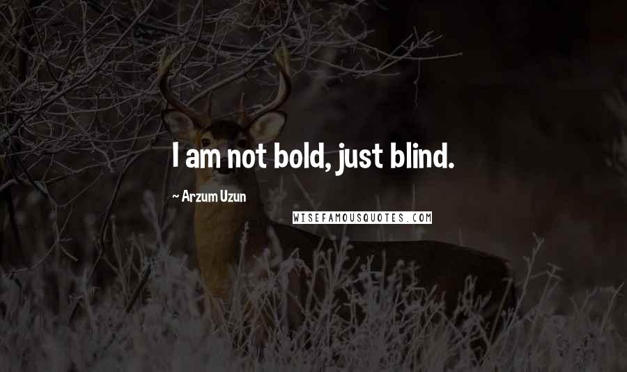 Arzum Uzun Quotes: I am not bold, just blind.