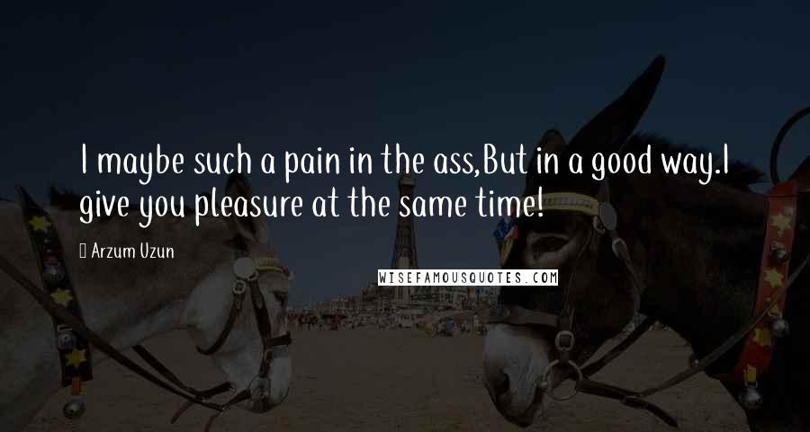 Arzum Uzun Quotes: I maybe such a pain in the ass,But in a good way.I give you pleasure at the same time!